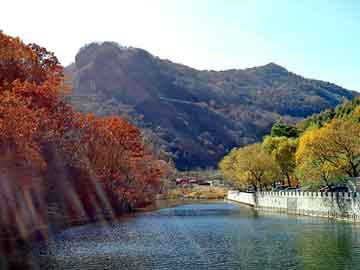 管家婆黑白马报图库，达成集团